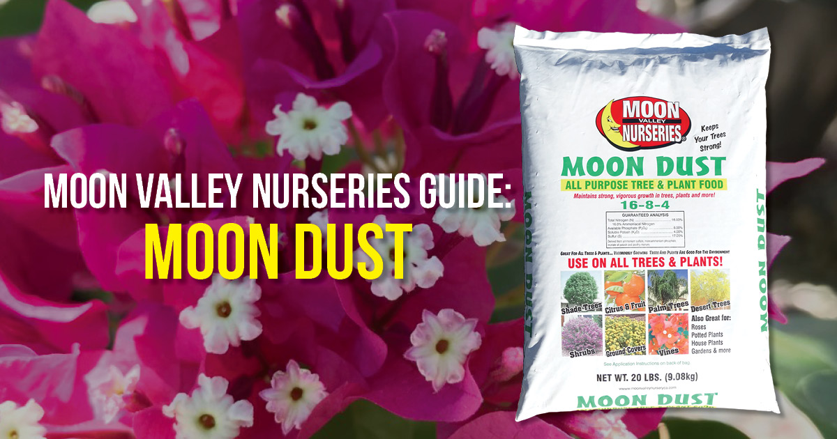 BLOG Guide Moon Dust