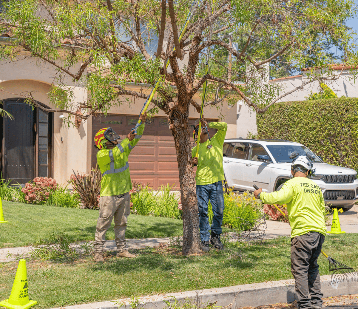 April Landscape & Garden Tips For Spring 2025